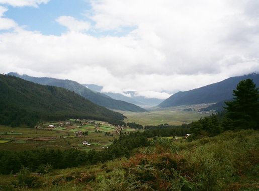 File:Autumn In Bhutan (230618555).jpeg - Wikimedia Commons