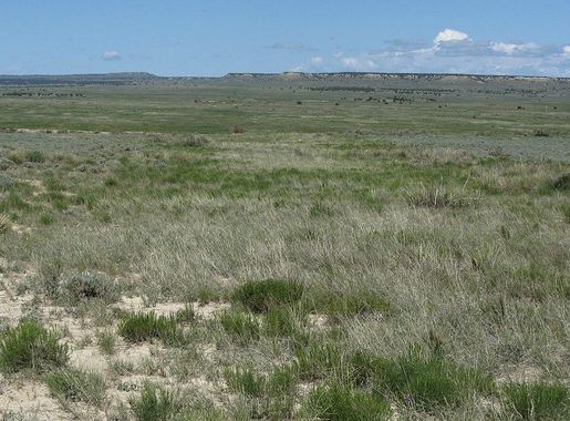 File:A view of the pairie looking towards a break in the distant ridgeline  (5e7c14ebed1d499aa5b0ae765f628406).JPG - Wikimedia Commons