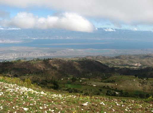 File:Azuei foret pins.JPG - Wikimedia Commons