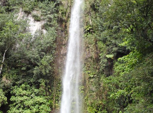 File:Middleham Falls at Morne Trois Pitons National Park.jpg - Wikimedia  Commons