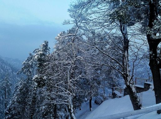 File:Murree hill station,Pakistan.jpeg - Wikimedia Commons