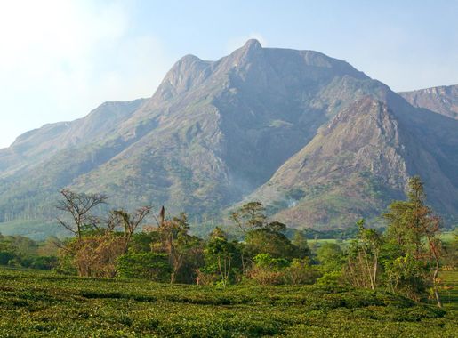 File:Mount Mulanje (15074232123).jpg - Wikimedia Commons
