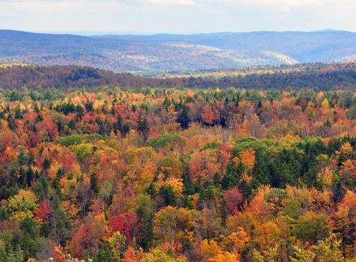 File:Vermont fall foliage hogback mountain.JPG - Wikimedia Commons