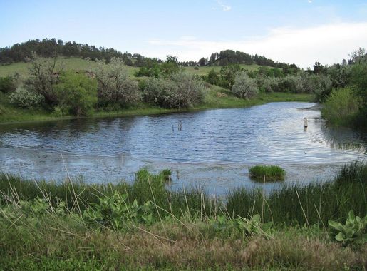 File:Hudson-Meng Bison Bonebed - Dammed Permanent Spring.JPG - Wikimedia  Commons