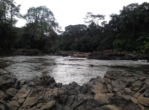 File:Benito (Mbini) River Sendje Equatorial Guinea 10 2015 BNB-UM.jpg -  Wikimedia Commons