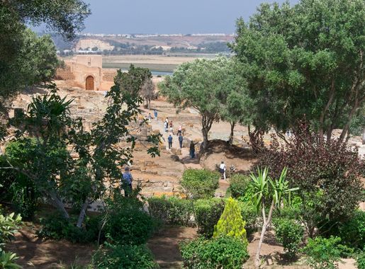 File:Le site du Chellah à Rabat, Maroc 2-2.jpg - Wikimedia Commons