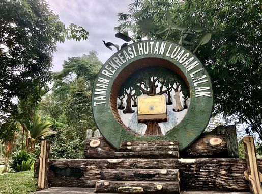 File:Luagan Lalak Forest Recreational Park (1).jpg - Wikimedia Commons