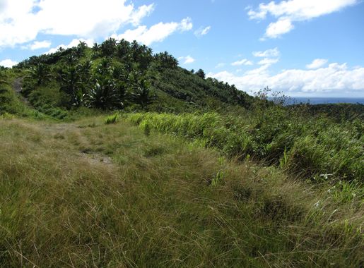 File:Maungapu (7189093293).jpg - Wikimedia Commons