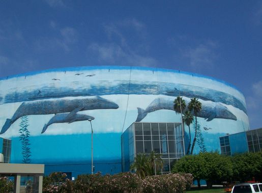 File:Aquarium of the Pacific - panoramio.jpg - Wikimedia Commons