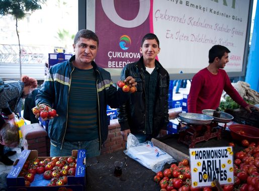 Ask Mehmet: Finding local markets > Incirlik Air Base > Display