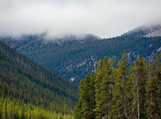Cars drive Thompson Park Beaverhead-Deerlodge | Free Photo - rawpixel
