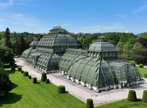 File:Wien - Palmenhaus Schönbrunn (a).JPG - Wikimedia Commons