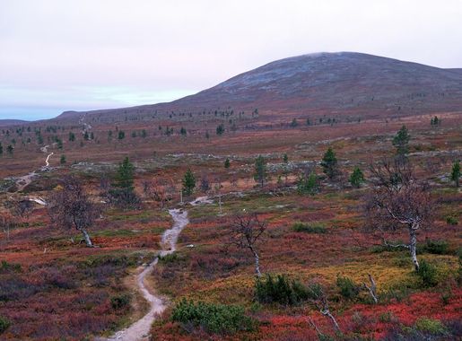 Tiedosto:Hetta-Pallas 6.jpg – Wikipedia