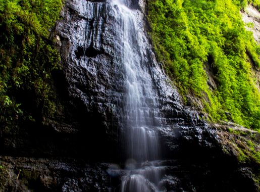 File:হিমছড়ি জাতীয় উদ্যান 1.jpg - Wikimedia Commons