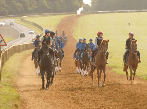 Newmarket – certainly not a one horse town > Royal Air Force Mildenhall >  RAF Mildenhall News