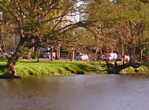 Dosiero:Banner Tacuarembó - Laguna de las Lavanderas.png - Vikipedio