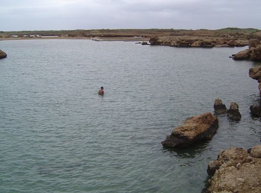 File:Coral reef on Dahlak Island (Eritrea), Red Sea.jpg - Wikimedia Commons