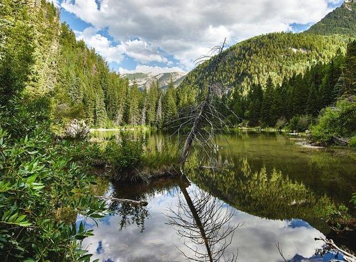 Alpine Loop San Juan Mountains | Free Photo - rawpixel