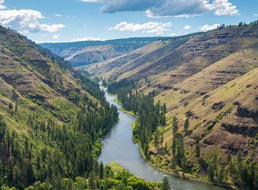 File:Grande Ronde River, Troy Road - DPLA -  f9247188a947e7e77782e0a32abbed10.jpg - Wikimedia Commons