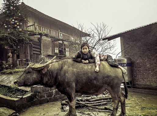 File:Sapa Boy (42397382).jpeg - Wikimedia Commons