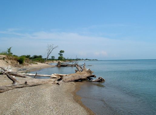 File:Illinois Beach State Park Lakefront.jpg - Wikimedia Commons