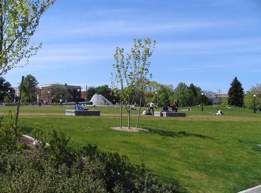 File:Cal Anderson Park.jpg - Wikimedia Commons