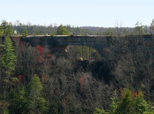 File:Natural Bridge KY-27527-3.jpg - Wikimedia Commons