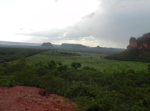 File:Serra de Palmeira do Piaui 04.JPG - Wikimedia Commons