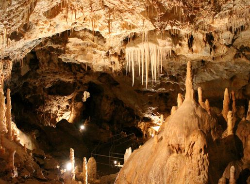 File:Medvebarlang08.jpg - Wikimedia Commons