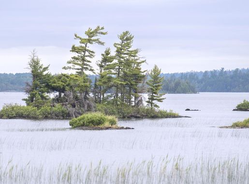 File:Voyageurs rainy lake.JPG - Wikimedia Commons