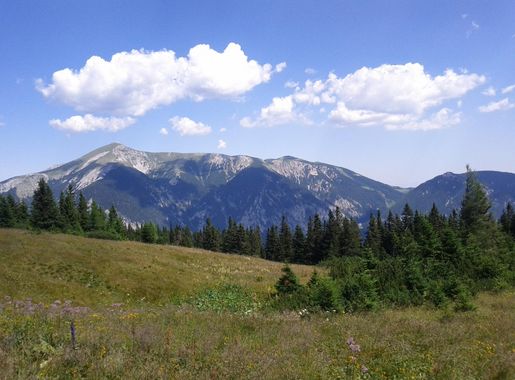 Kostenlose foto : Wildnis, Gehen, Berg, Himmel, Weg, Wiese, Prärie, Hügel,  Abenteuer, Tal, Gebirge, Weide, alpin, Hochland, Grat, Ebene, Schneeberg,  Österreich, Massiv, Berge, Alpen, Plateau, fiel, See, Alm, Ökosystem,  Landform, Bergpass, Niederösterreich,
