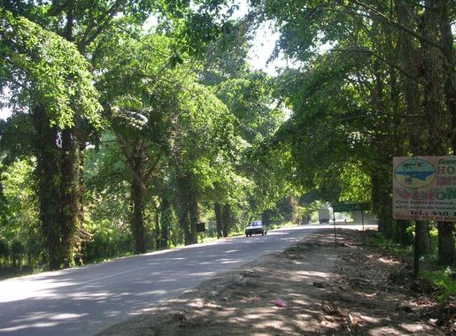 File:Entrance to Lancetilla, Tela honduras.JPG - Wikimedia Commons