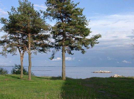 File:Scenery of Lake Peipus (Estonia 2003).JPG - Wikimedia Commons