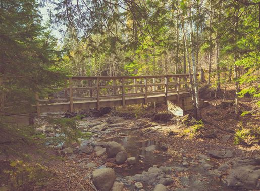 File:Superior Hiking Trail - Cascade River State Park (22313989676).jpg -  Wikimedia Commons