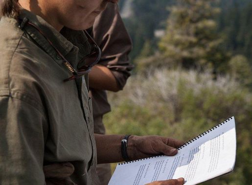 Forest Trail Images | Free Photos, PNG Stickers, Wallpapers & Backgrounds -  rawpixel