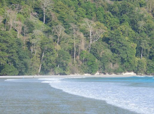 File:Radhanagar Beach, Havelock Island, Andaman, India.jpg - Wikimedia  Commons