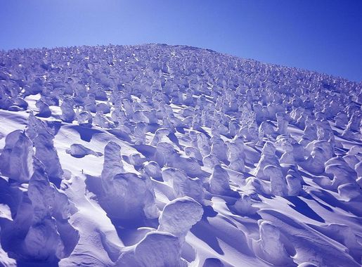 File:Snow Monsters, Zao Onsen Ski Resort.jpg - Wikimedia Commons