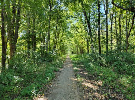 File:Air Line State Park Trail, Clarks Corner CT.jpg - Wikimedia Commons