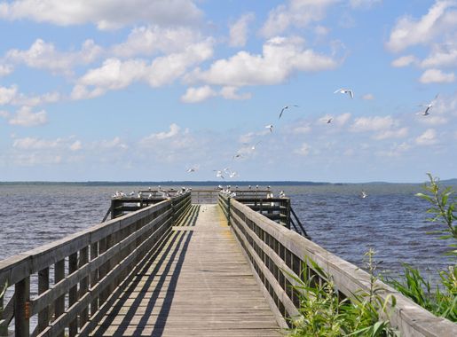 File:Łebsko lake 01.jpg - Wikimedia Commons