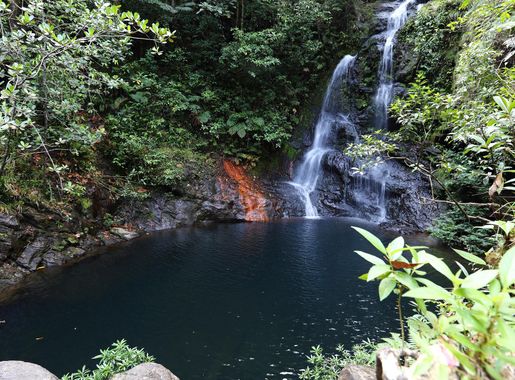 File:Cockscomb Basin Wildlife Sanctuary 21.JPG - Wikimedia Commons