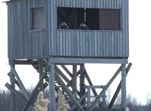 File:Birdwatchers Liminka Bay 2006 04 14.JPG - Wikimedia Commons