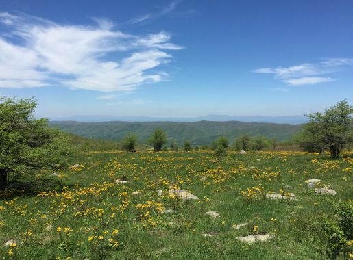 File:2017-05-16 12 39 22 View northwest across a field from the Appalachian  Trail