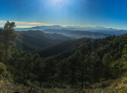 File:Contadoras camino a Poca Pan.jpg - Wikimedia Commons