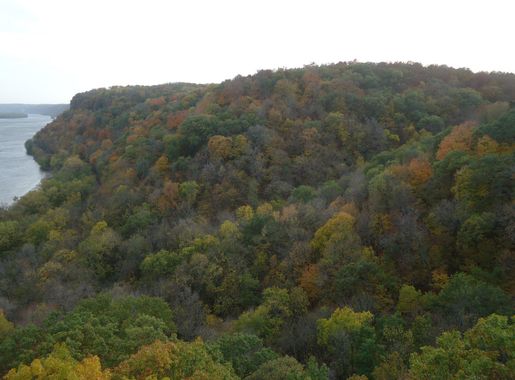 File:Gfp-iowa-effigy-mounds-autumn-forest.jpg - Wikimedia Commons