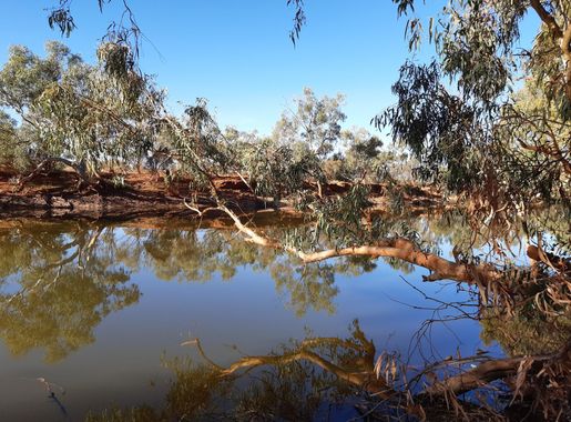 File:Cattle Pool, Mount Augustus National Park, July 2020 02.jpg -  Wikimedia Commons