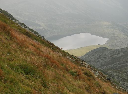 File:Retezat Mountain - Bucura Lake 02.JPG - Wikipedia
