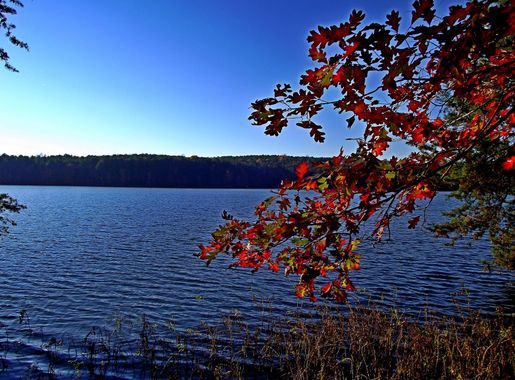 Файл:Badin Lake viewed from Uwharrie National Forest.JPG — Википедия