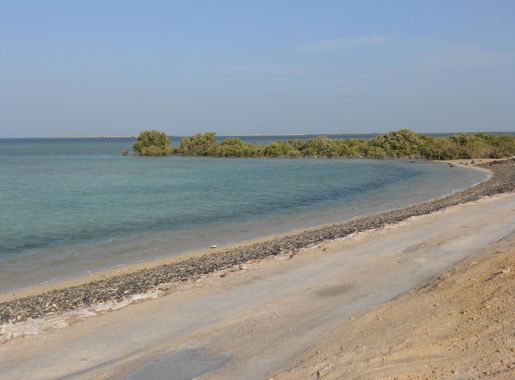 File:Dakhira Beach, Qatar.JPG - Wikimedia Commons