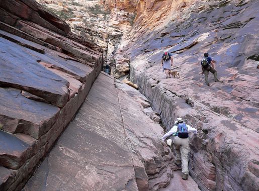 File:Pine Creek Canyon side canyon 4.jpg - Wikimedia Commons