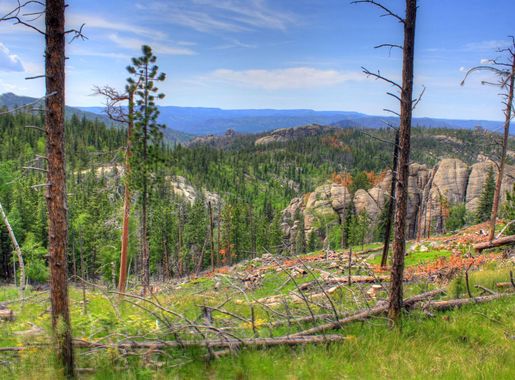 Mountain Landscape in Custer State Park, South Dakota image - Free stock  photo - Public Domain photo - CC0 Images